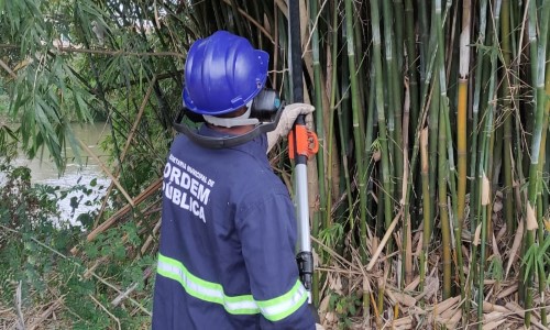 Secretaria de Ordem Pública agiliza serviço de poda de árvores em Volta Redonda